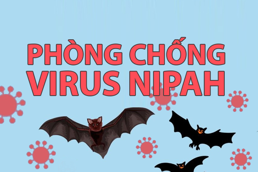 BỘ Y TẾ KHUYẾN CÁO 5 BIỆN PHÁP PHÒNG, CHỐNG VI RÚT NIPAH